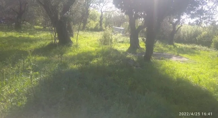 Prodaja, plac, 518m², Budva, Crna Gora