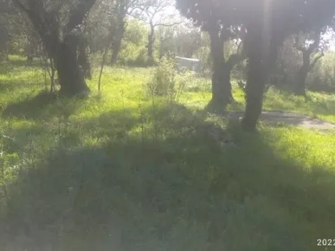 Prodaja, plac, 518m², Budva, Crna Gora - image 5