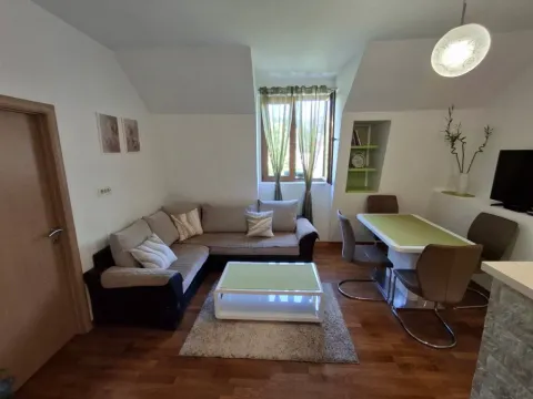 Izdavanje, jednosoban stan, 41m2, Cetinje