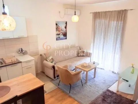 Izdavanje, stan, 30m², Stari Aerodrom, Podgorica - image 1