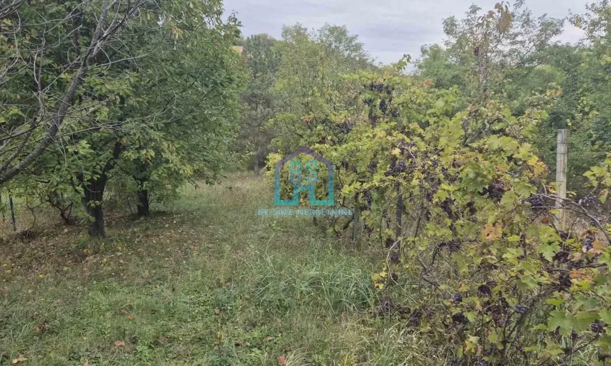 Prodaja, plac, 1200m², Alibegovac, Petrovaradin