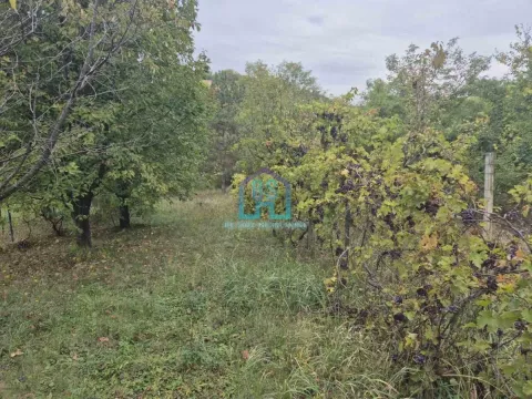 Sale, land lot, 12m², Alibegovac, Petrovaradin