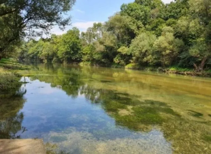 Prodaja, plac, 8500m², Frutak, Danilovgrad