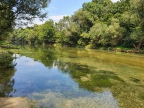 Sale, land lot, 8500m², Frutak, Danilovgrad - image 11