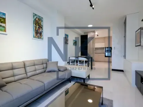 Rent, one bedroom apartment, 45m², Zagorič, Podgorica - image 3
