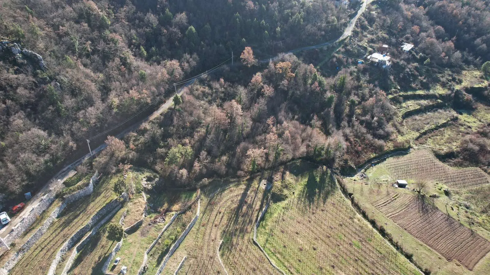 Prodaja, plac, 4400m², Cetinje, Crna Gora