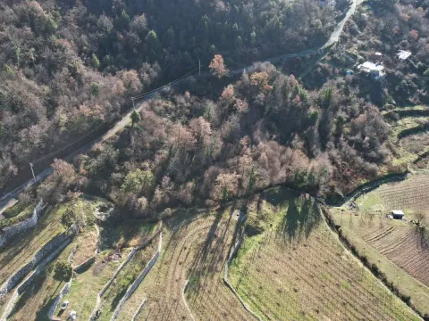 Sale, land lot, 4400m², Cetinje, Crna Gora - image 4