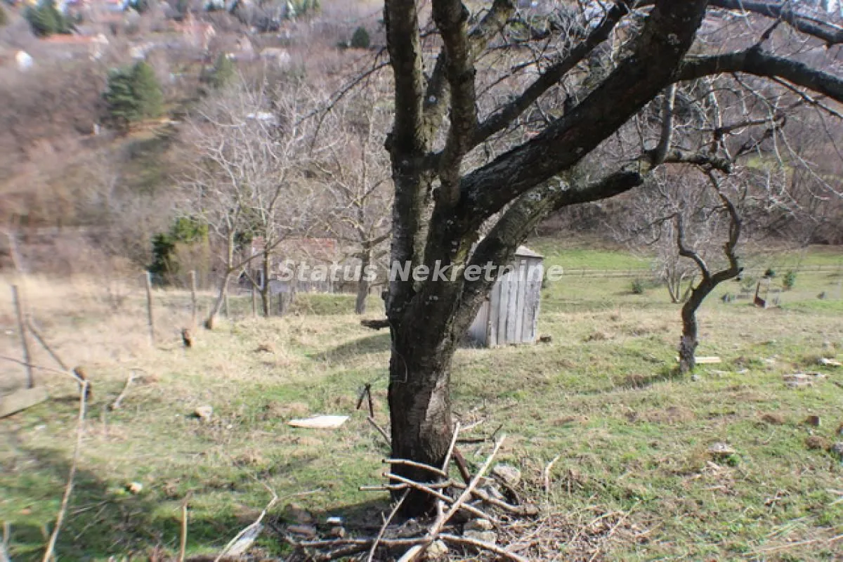 Prodaja, plac, 826m², Sremska Kamenica, Petrovaradin
