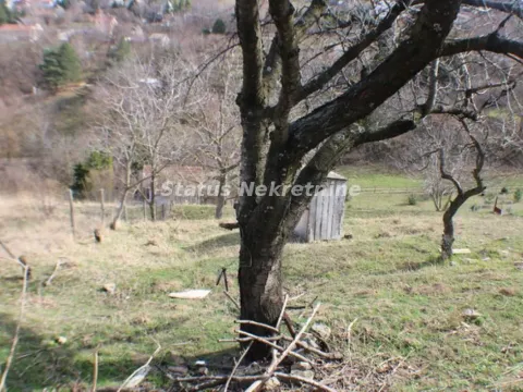 Sale, land lot, 800m², Sremska Kamenica, Petrovaradin - image 6