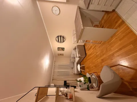 Rent, one bedroom apartment, 33m², Zabjelo, Podgorica - image 7