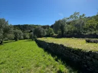 Prodaja, plac, 2540m², Kamenari, Herceg Novi - image 5