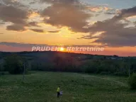 Prodaja, plac, 116m², Kosmaj, Sopot - image 2