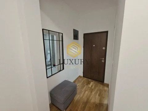 Rent, one bedroom apartment, 47m², Zagorič, Podgorica - image 3