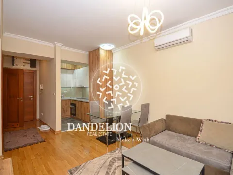 Izdavanje, jednosoban stan, 41m², Centar, Podgorica - image 11