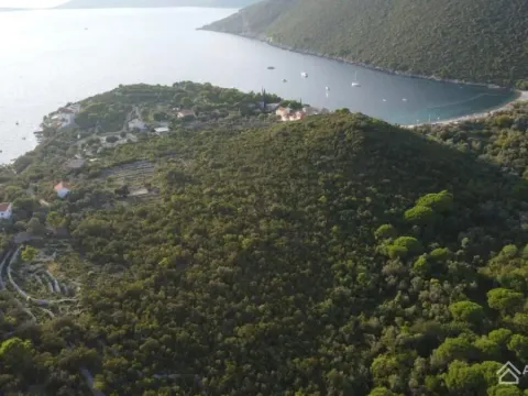 Sale, land lot, 9000m², Radovanići, Herceg Novi - image 5