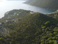 Sale, land lot, 9000m², Radovanići, Herceg Novi - image 5