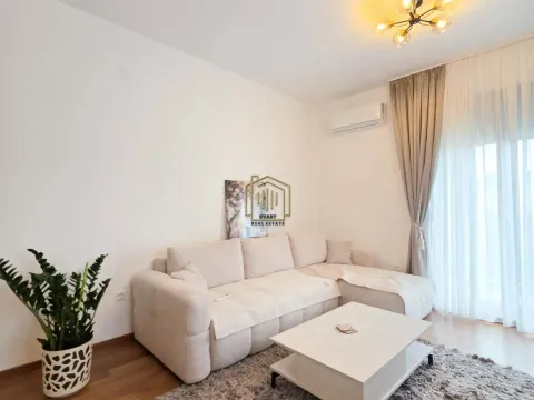 Rent, one bedroom apartment, 43m², Vezirov Most, Podgorica - image 4