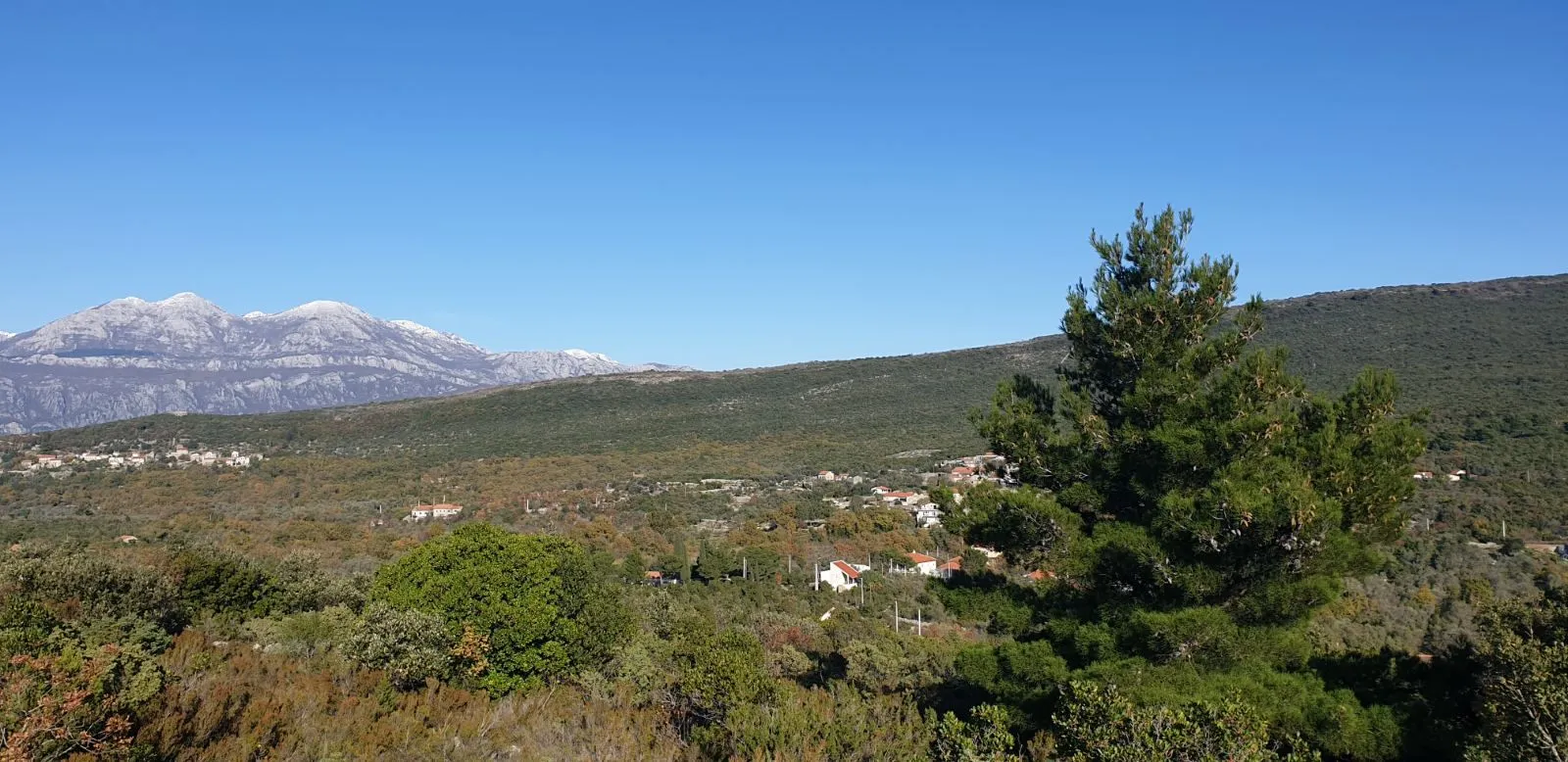 Prodaja, plac, 4150m², Herceg Novi, Crna Gora