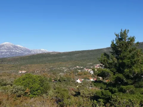 Prodaja, plac, 4150m², Herceg Novi, Crna Gora - image 5