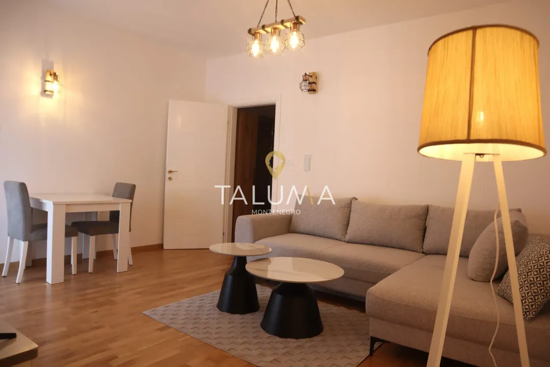 Rent, studio apartment, 28m², Zagorič, Podgorica