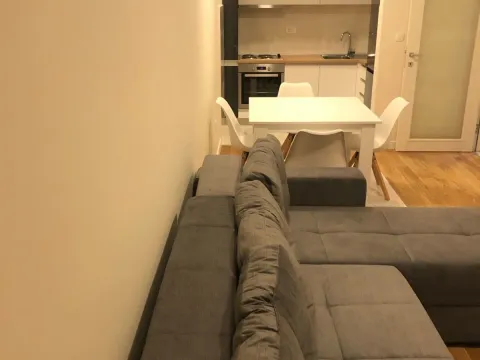 Rent, apartment, 47m², Central Point, Podgorica - image 2