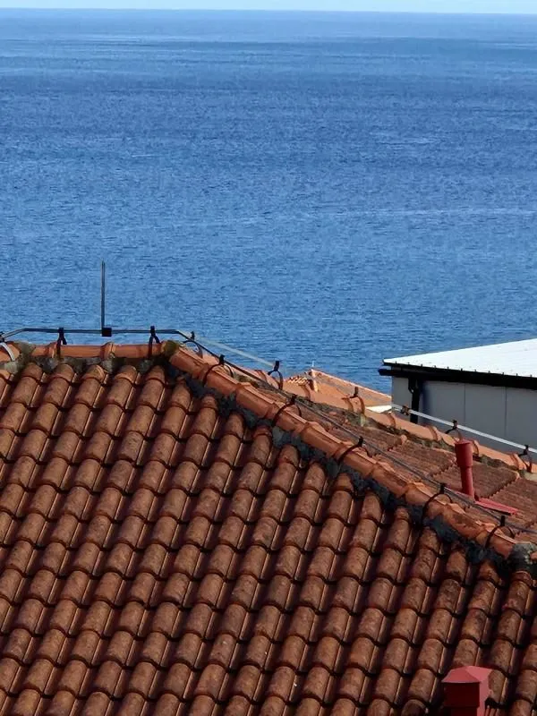 Sale, one bedroom apartment, 36m², Bečići, Budva