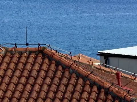 Sale, one bedroom apartment, 36m², Bečići, Budva - image 12