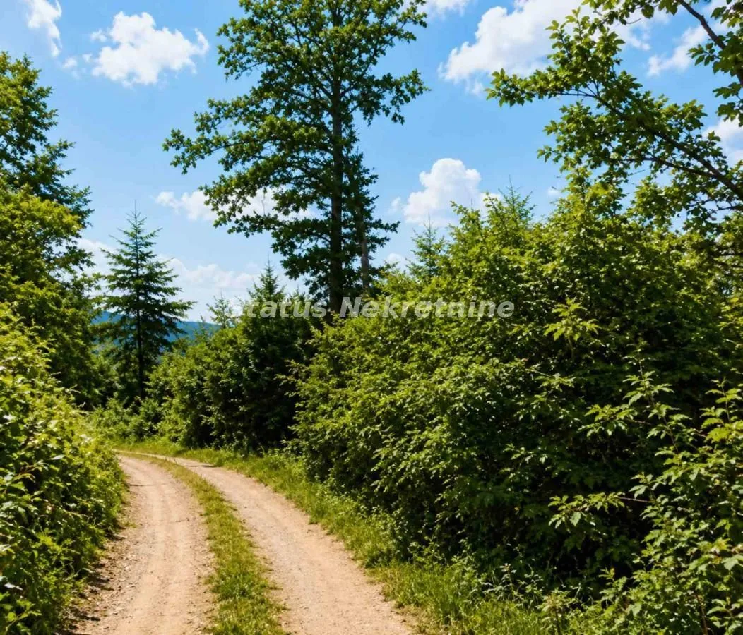 Prodaja, plac, 79429m², Požega, Srbija