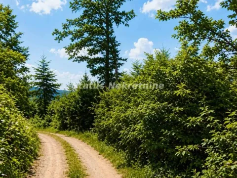 Prodaja, plac, 79429m², Požega, Srbija - image 6