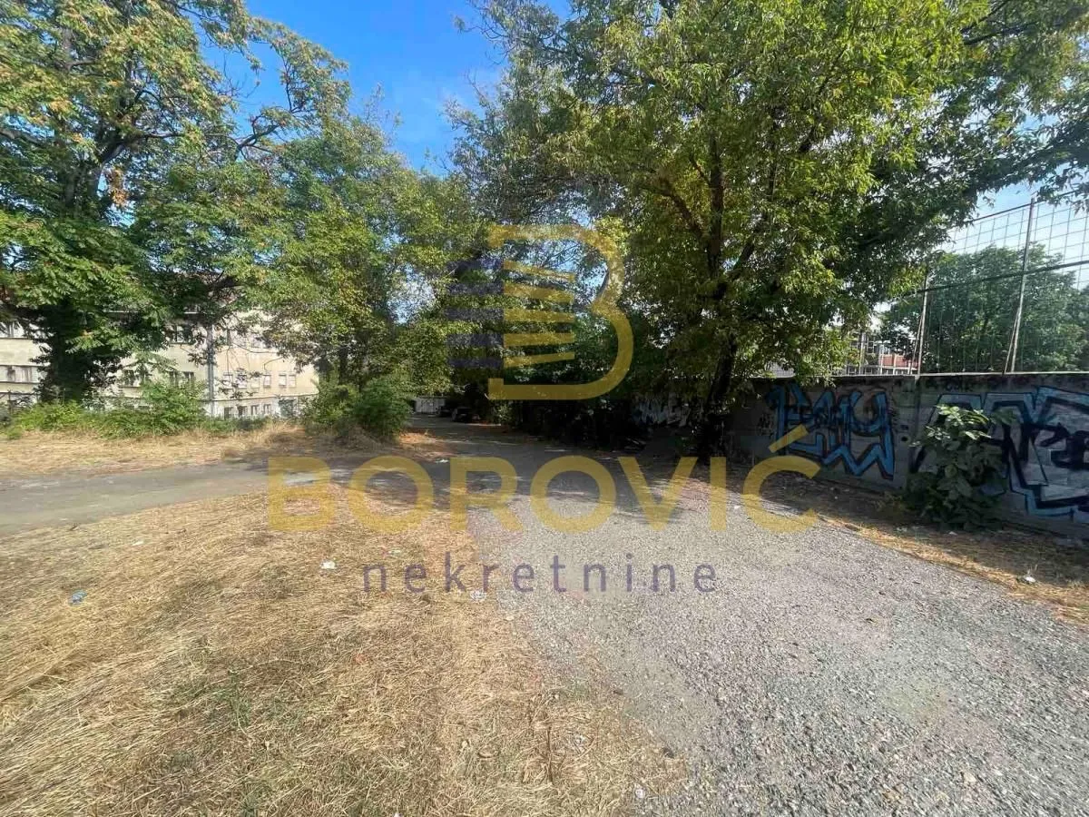 Pogled na dvorište i okolno zelenilo sa stablima.