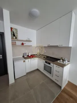 Izdavanje, jednosoban stan, 45m², Petrovaradin, Novi Sad - image 2