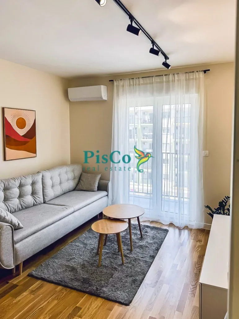 Rent, one bedroom apartment, 40m², Pobrežje, Podgorica