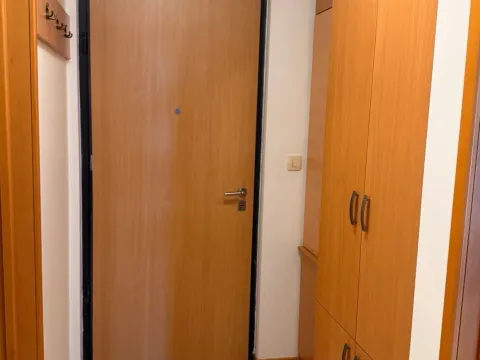 Izdavanje, jednosoban stan, 45m², Stari Aerodrom, Podgorica - image 4