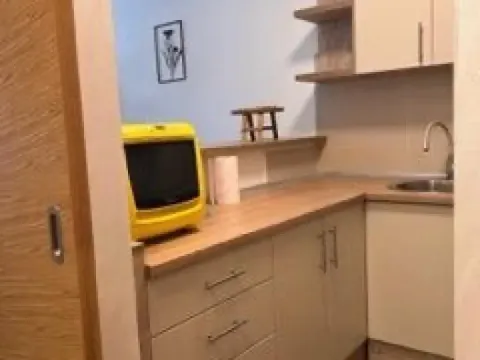 Izdavanje, jednosoban stan, 45m², Zemun Sve Podlokacije, Beograd - image 6