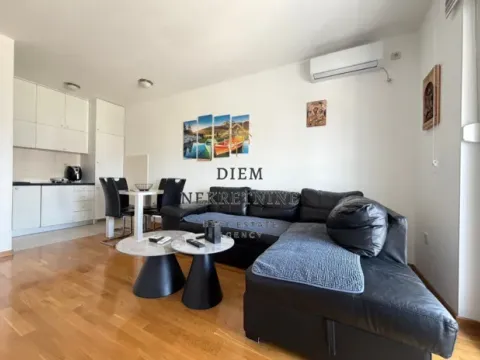 Rent, one bedroom apartment, 40m², Zabjelo, Podgorica - image 9