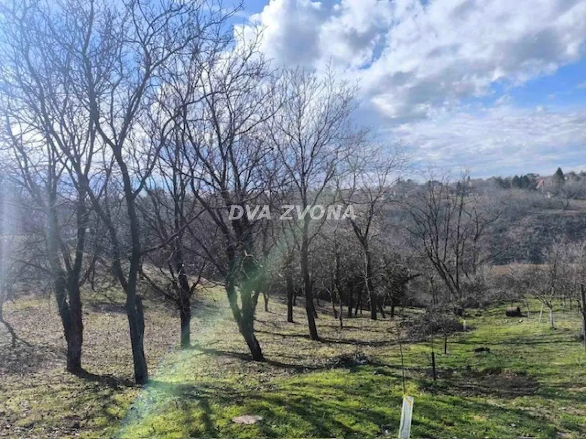 Prodaja, plac, 700m², Čortanovci, Inđija