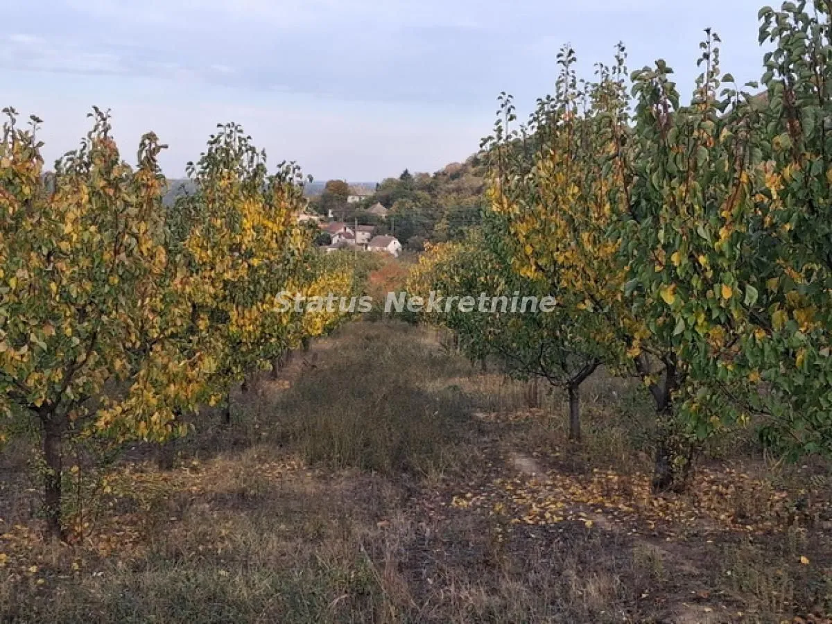 Prodaja, plac, 7500m², Beočin, Srbija