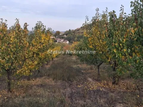 Prodaja, plac, 7500m², Beočin, Srbija - image 4