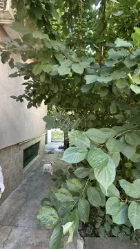 Prodaja, kuća, 43m², Lion, Zvezdara Sve Podlokacije - image 3