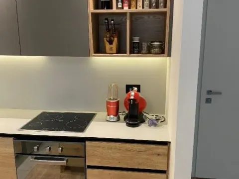 Izdavanje, dvosoban stan, 50m², Savski Venac, Beograd - image 4