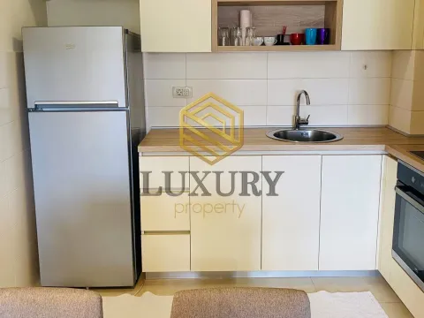 Rent, one bedroom apartment, 47m², City Kvart, Podgorica - image 7