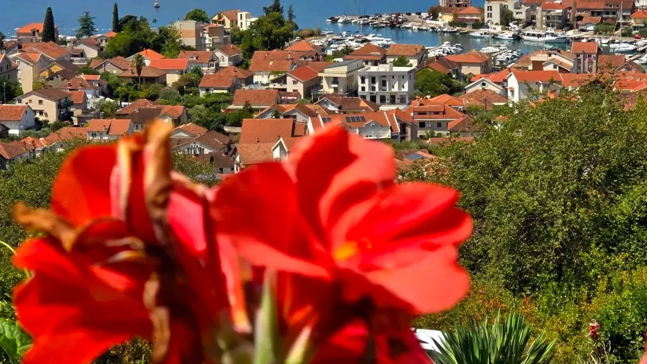 Izdavanje, stan, 40m², Tivat, Crna Gora