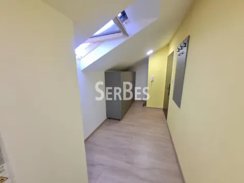 Izdavanje, dvosoban stan, 50m², Adice, Novi Sad Sve Podlokacije - image 14