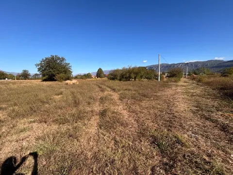 Pogled na prostrani plac sa travnatom površinom i drvećem u pozadini. - image 4