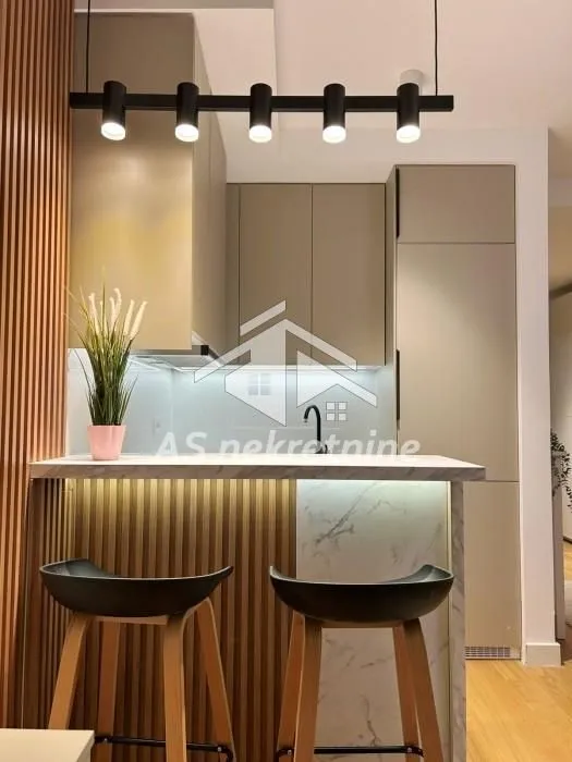 Rent, one bedroom apartment, 27m², Lion, Zvezdara Sve Podlokacije