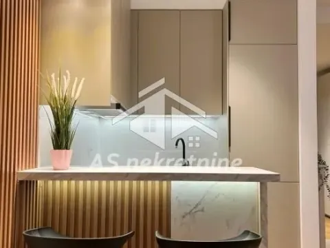 Izdavanje, jednosoban stan, 27m², Lion, Zvezdara Sve Podlokacije - image 13