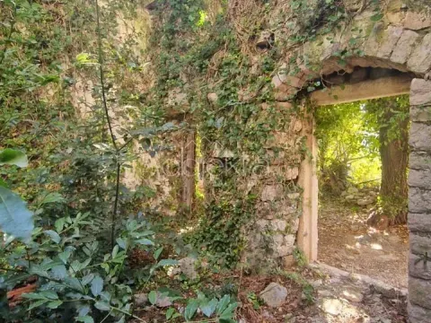 Prodaja, kuća, 54m², Tivat, Crna Gora - image 4