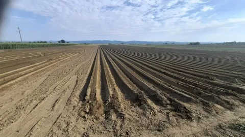 Prodaja, plac, 27500m², Futog, Novi Sad Sve Podlokacije - image 5