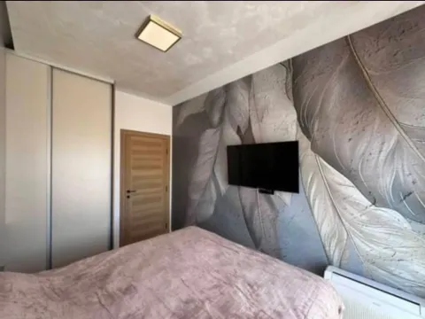 Izdavanje, jednosoban stan, 42m², Zagorič, Podgorica - image 9