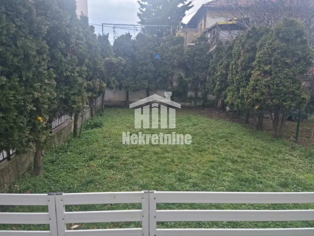 Zeleno dvorište sa ogradom od četinara.
